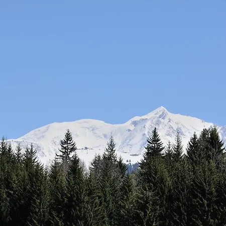 Le Prariand - Chalet Megeve